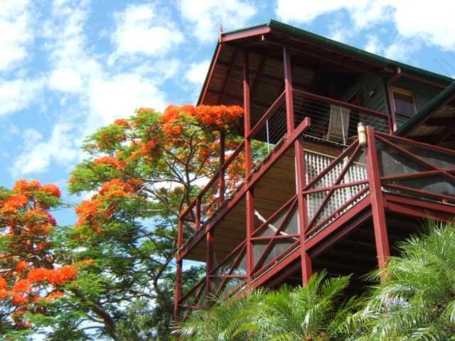 Maleny Tropical Retreat Panzió Kültér fotó