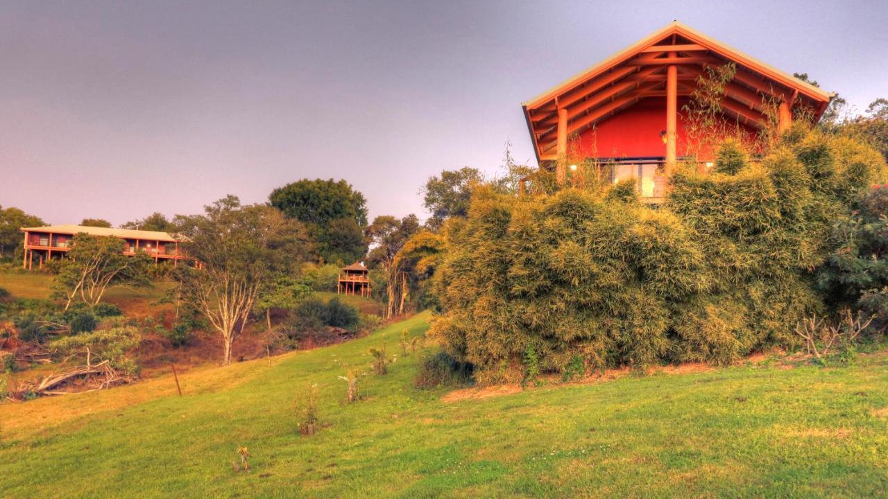 Maleny Tropical Retreat Panzió Kültér fotó