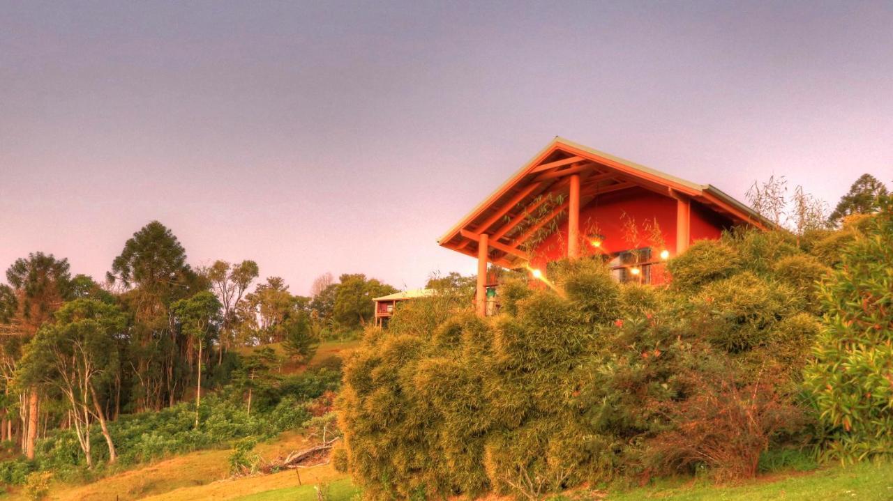 Maleny Tropical Retreat Panzió Kültér fotó