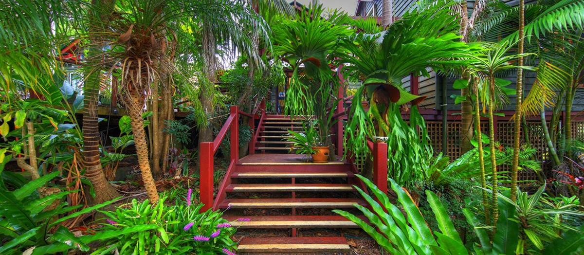 Maleny Tropical Retreat Panzió Kültér fotó